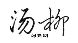 駱恆光湯柳行書個性簽名怎么寫