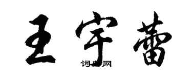 胡問遂王宇蕾行書個性簽名怎么寫