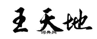 胡問遂王天地行書個性簽名怎么寫