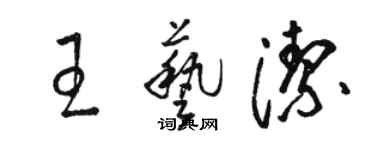 駱恆光王藝潔草書個性簽名怎么寫