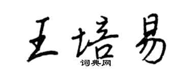 王正良王培易行書個性簽名怎么寫