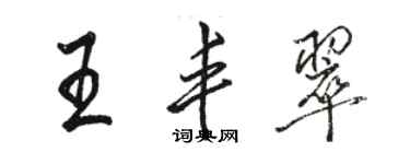 駱恆光王豐翠行書個性簽名怎么寫