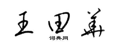 梁錦英王田華草書個性簽名怎么寫