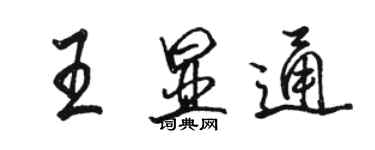 駱恆光王顯通行書個性簽名怎么寫