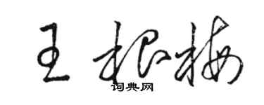 駱恆光王根梅草書個性簽名怎么寫