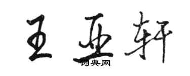 駱恆光王亞軒行書個性簽名怎么寫