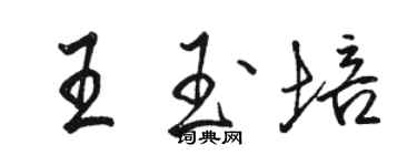 駱恆光王玉培行書個性簽名怎么寫