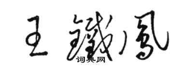 駱恆光王鐵鳳草書個性簽名怎么寫