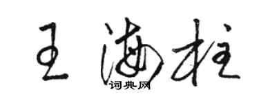 駱恆光王海柱草書個性簽名怎么寫