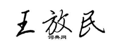 王正良王放民行書個性簽名怎么寫