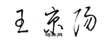 駱恆光王京陽草書個性簽名怎么寫