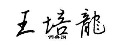 王正良王培龍行書個性簽名怎么寫