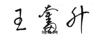 駱恆光王奮升草書個性簽名怎么寫