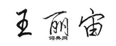 駱恆光王麗宙行書個性簽名怎么寫