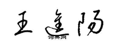 梁錦英王進陽草書個性簽名怎么寫