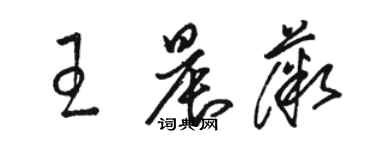 駱恆光王晨薇草書個性簽名怎么寫