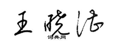 梁錦英王曉湛草書個性簽名怎么寫