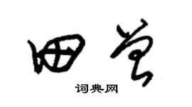 朱錫榮田曾草書個性簽名怎么寫