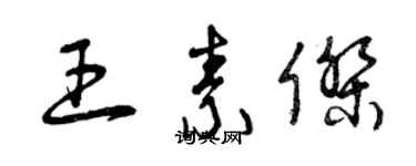 曾慶福王素傑草書個性簽名怎么寫