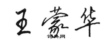 駱恆光王蒙華行書個性簽名怎么寫