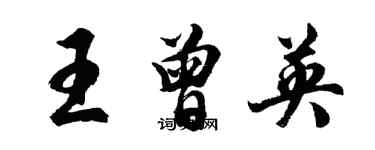 胡問遂王曾英行書個性簽名怎么寫