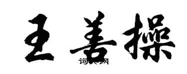 胡問遂王善操行書個性簽名怎么寫