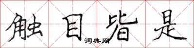 侯登峰觸目皆是楷書怎么寫