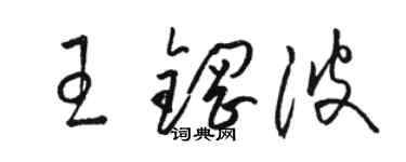 駱恆光王鋼波草書個性簽名怎么寫