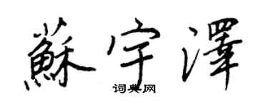 王正良蘇宇澤行書個性簽名怎么寫