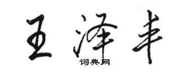 駱恆光王澤豐行書個性簽名怎么寫