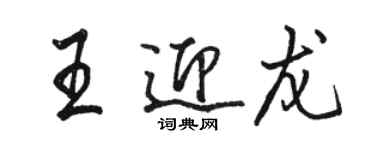 駱恆光王迎龍行書個性簽名怎么寫