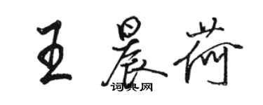 駱恆光王晨荷行書個性簽名怎么寫