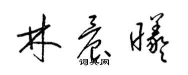 梁錦英林晨曦草書個性簽名怎么寫