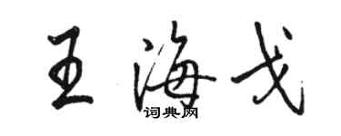 駱恆光王海戈行書個性簽名怎么寫