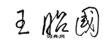 駱恆光王昭國草書個性簽名怎么寫