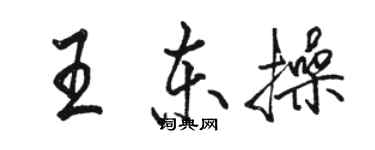 駱恆光王東操行書個性簽名怎么寫