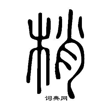 說文解字寫的梢