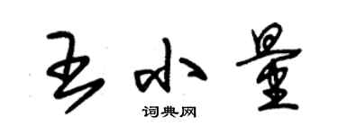 朱錫榮王小量草書個性簽名怎么寫