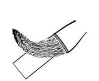 側鋒和偏鋒，你寫對了嗎？