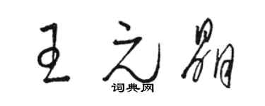 駱恆光王元晶草書個性簽名怎么寫