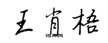 王正良王肖梧行書個性簽名怎么寫