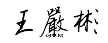 王正良王嚴彬行書個性簽名怎么寫