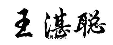 胡問遂王湛聰行書個性簽名怎么寫