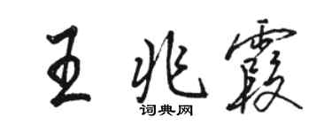 駱恆光王兆霞行書個性簽名怎么寫