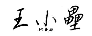 王正良王小壘行書個性簽名怎么寫