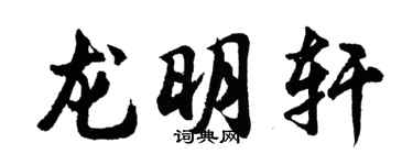 胡問遂龍明軒行書個性簽名怎么寫