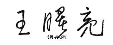 駱恆光王曙亮草書個性簽名怎么寫
