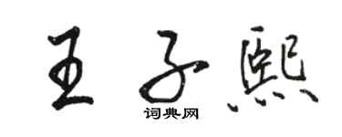 駱恆光王子熙行書個性簽名怎么寫
