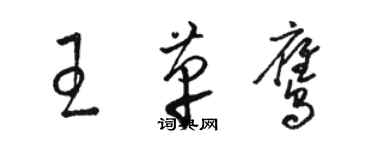 駱恆光王革鷹草書個性簽名怎么寫