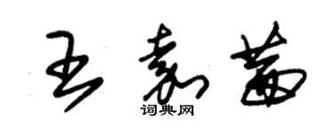 朱錫榮王嘉茜草書個性簽名怎么寫